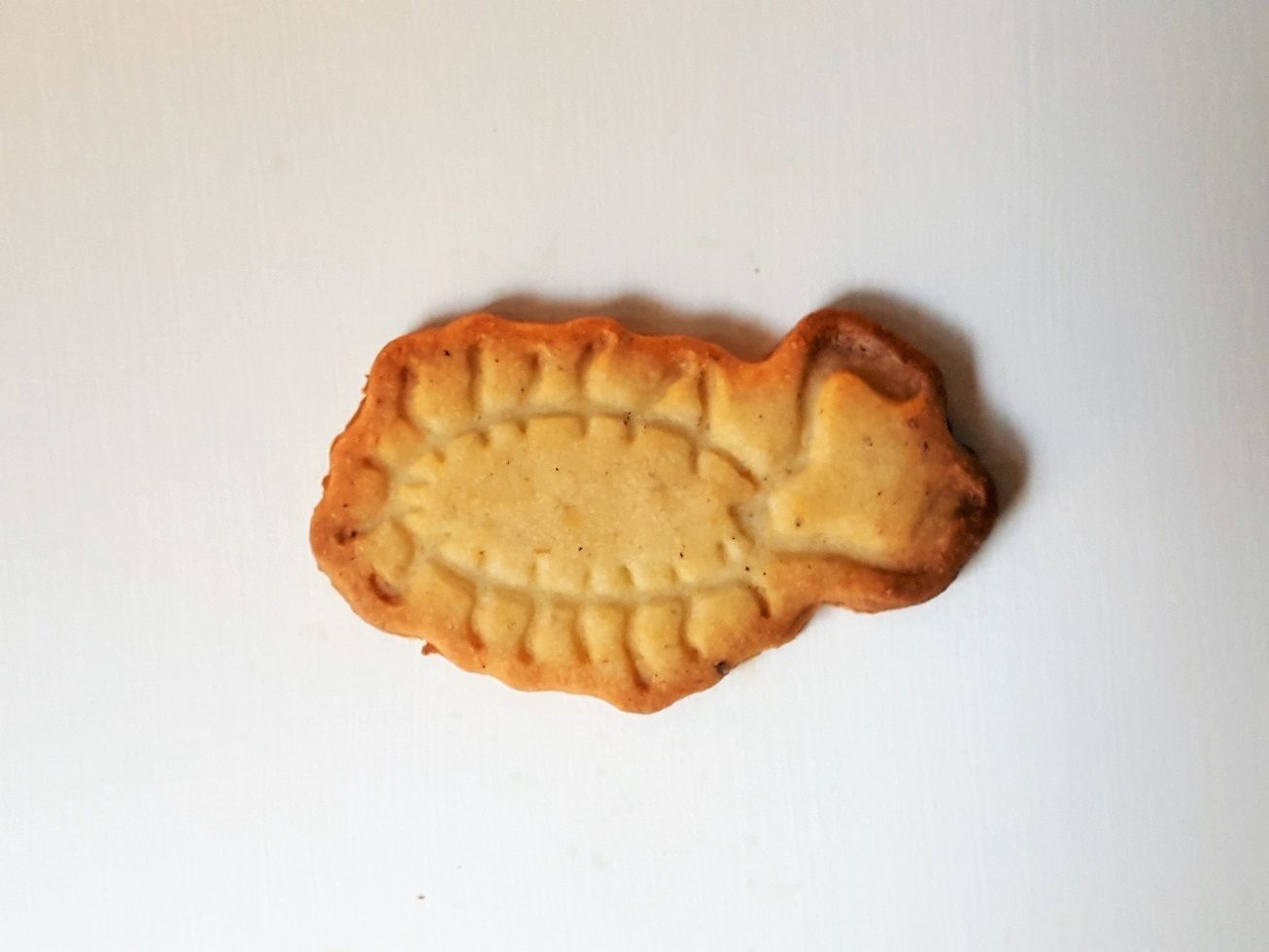 Bacteria cookie cutter 3D print model_1