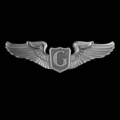 USAAF Glider Pilot Wings Badge 3D model