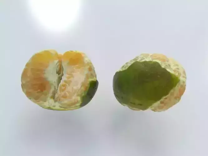 Orange Fruit open
