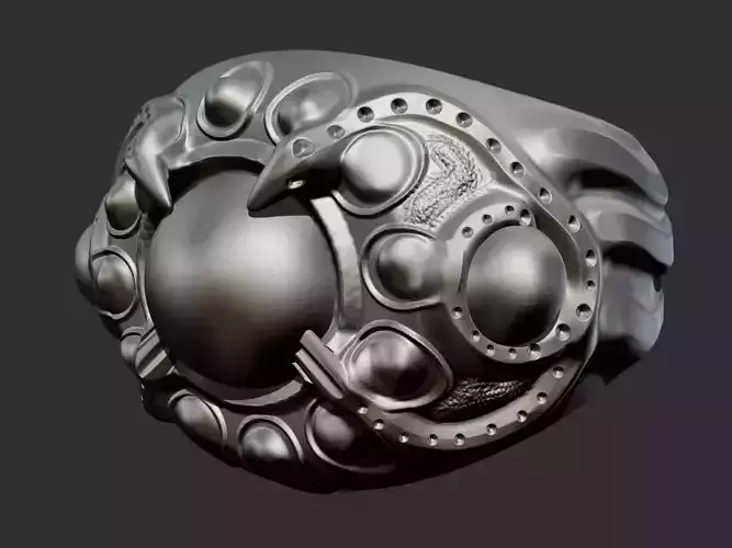 Ring 2 silver with metal details