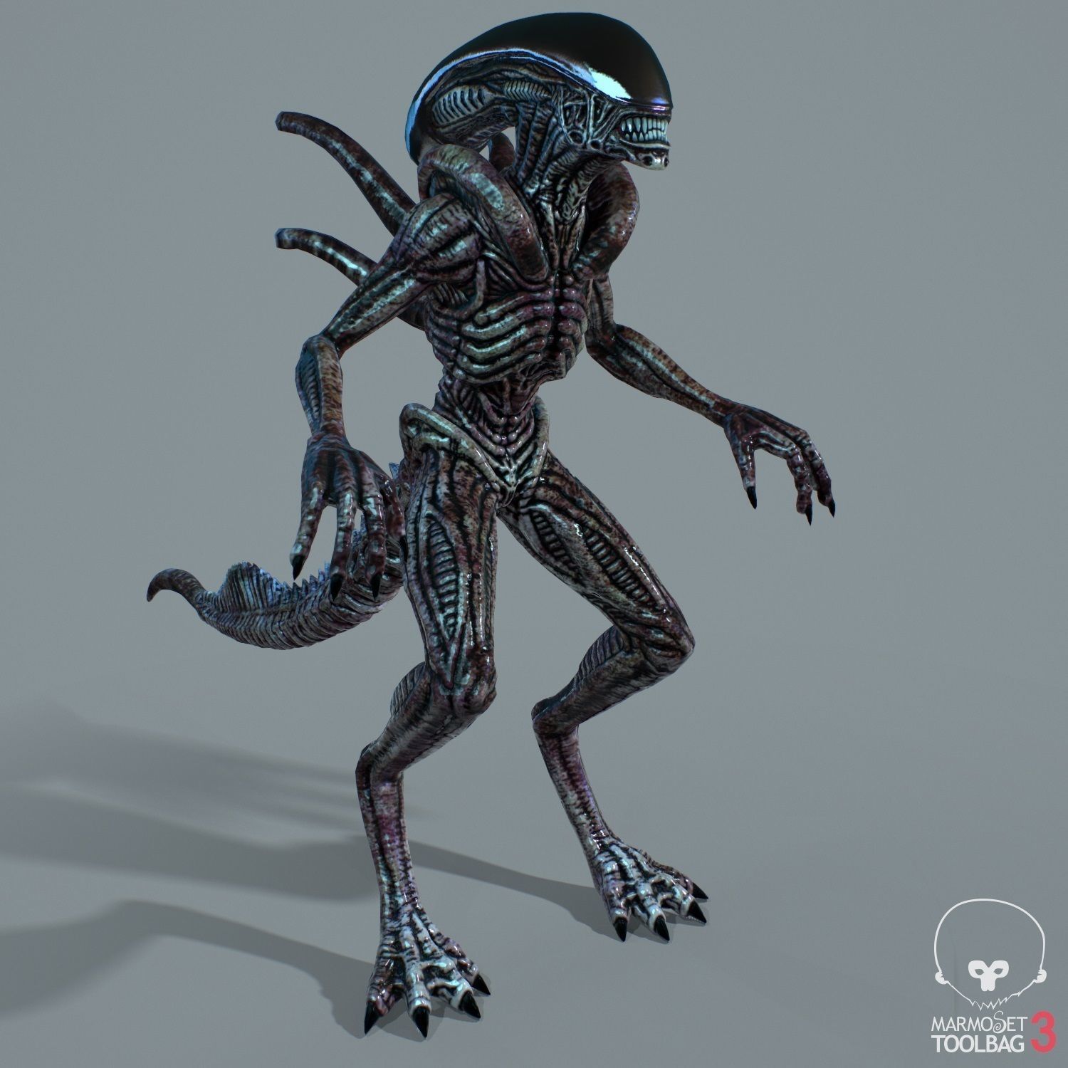 Alien Xenomorph  Low-poly 3D model_11