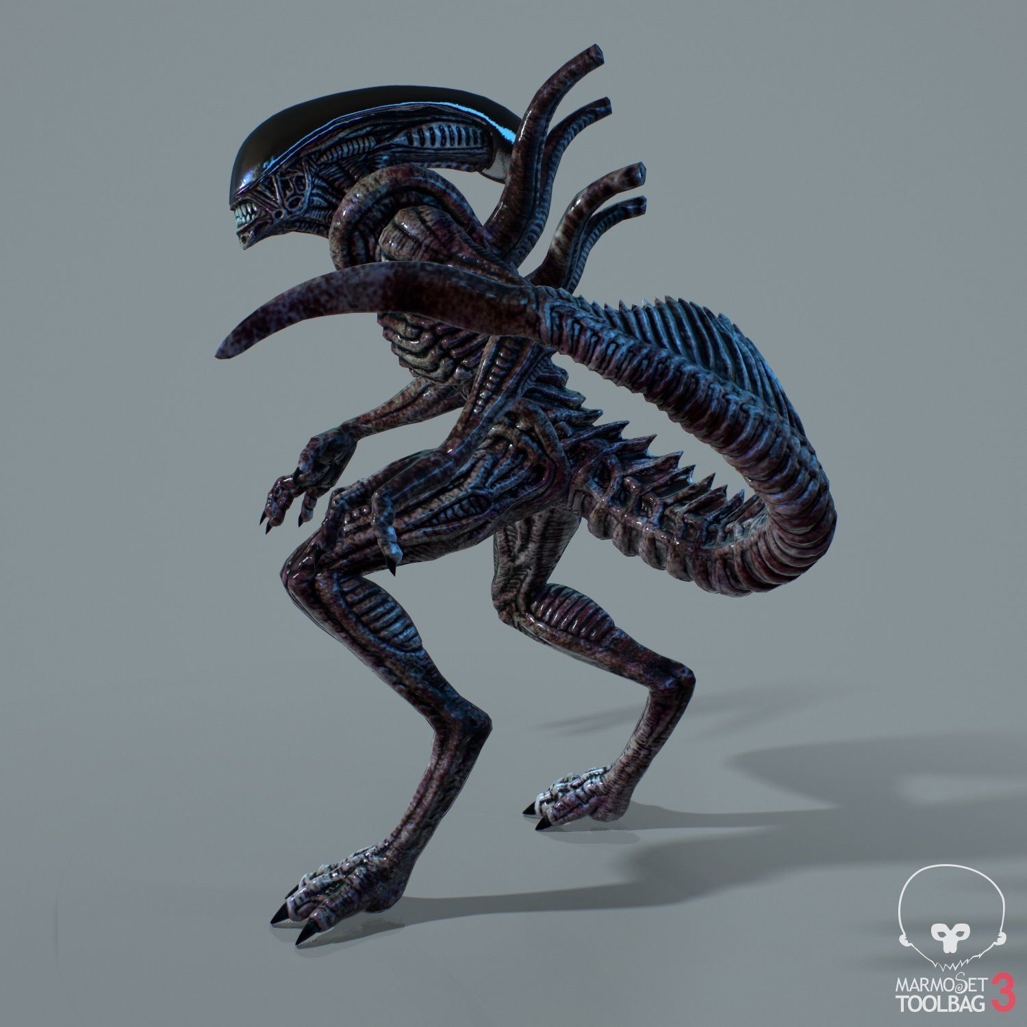Alien Xenomorph  Low-poly 3D model_15