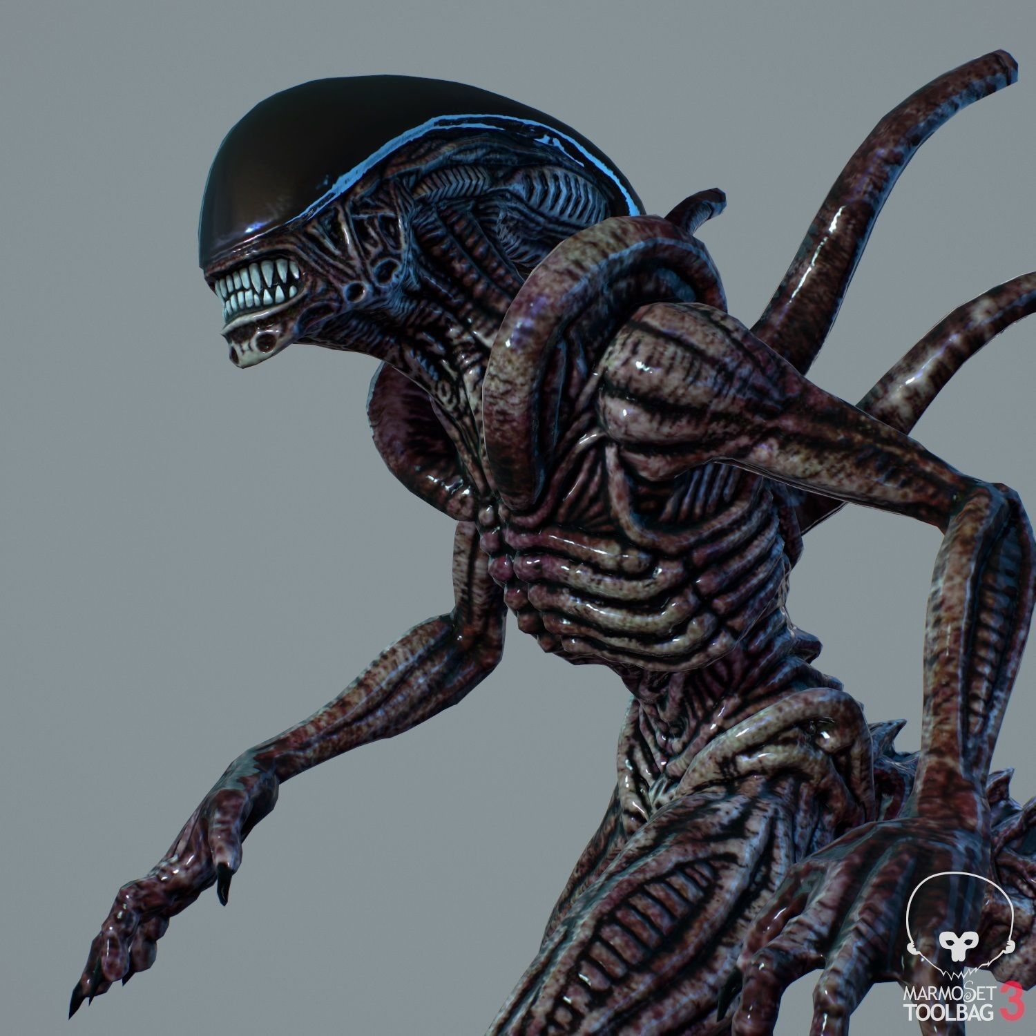 Alien Xenomorph  Low-poly 3D model_9