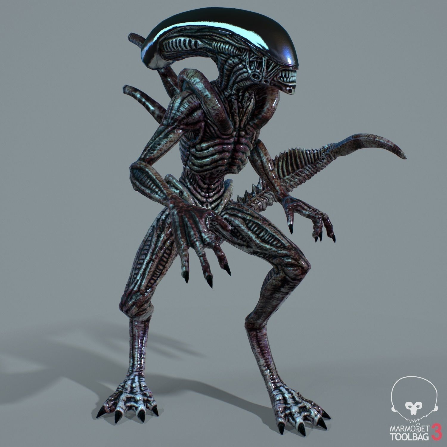 Alien Xenomorph  Low-poly 3D model_5