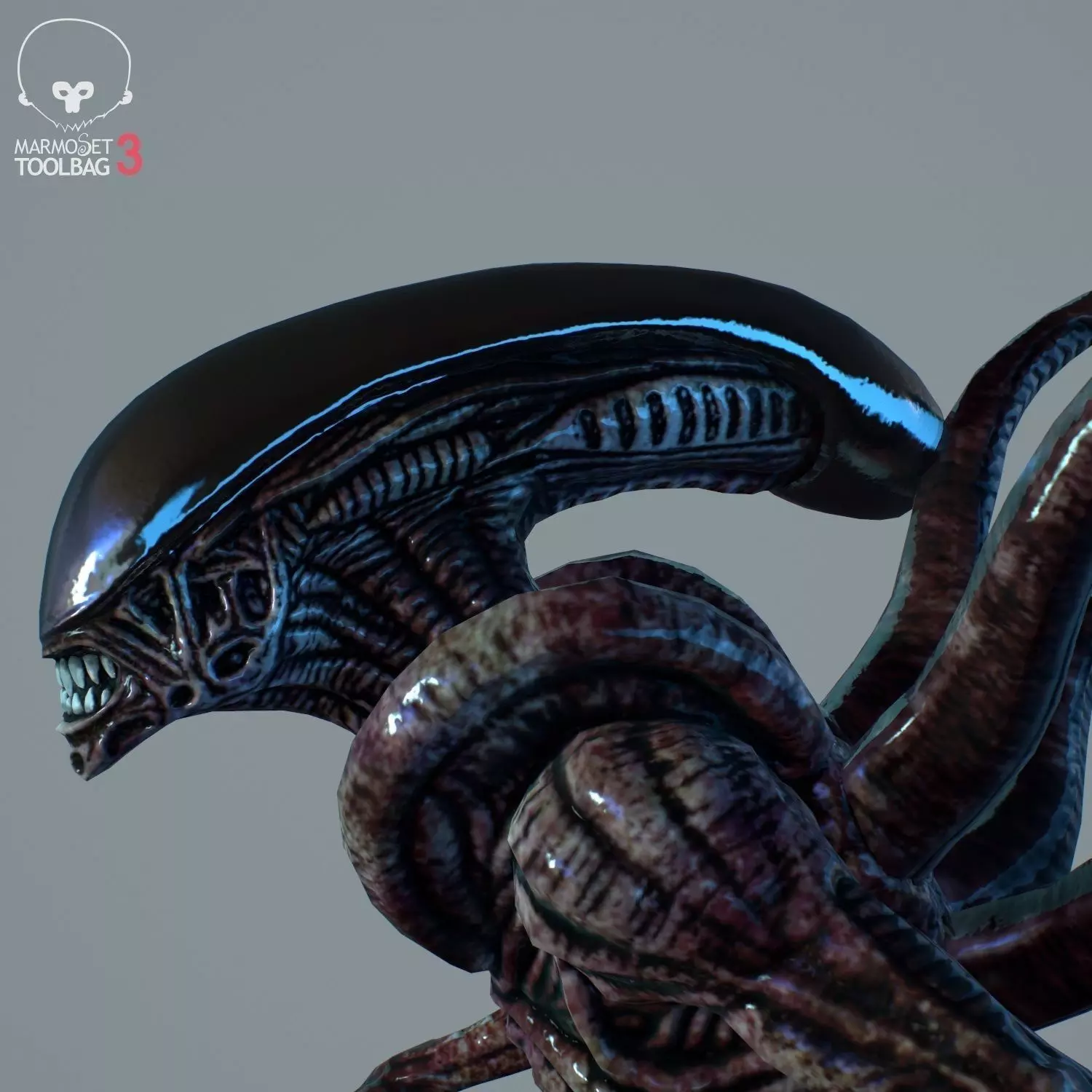 Alien Xenomorph  Low-poly 3D model_0