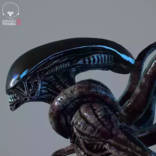 Alien Xenomorph  Low-poly 3D model