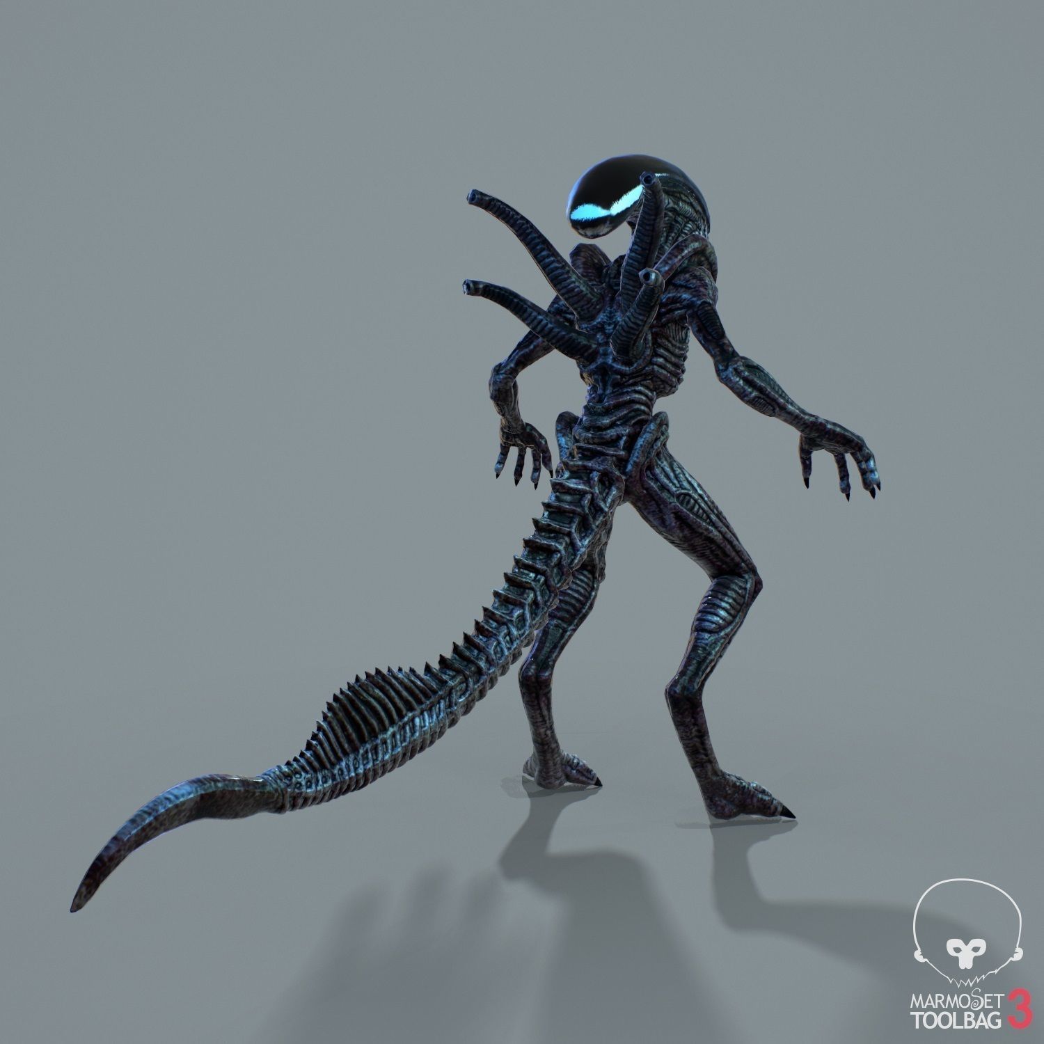 Alien Xenomorph  Low-poly 3D model_12