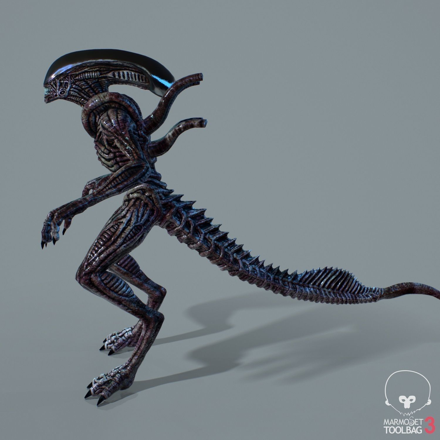 Alien Xenomorph  Low-poly 3D model_14