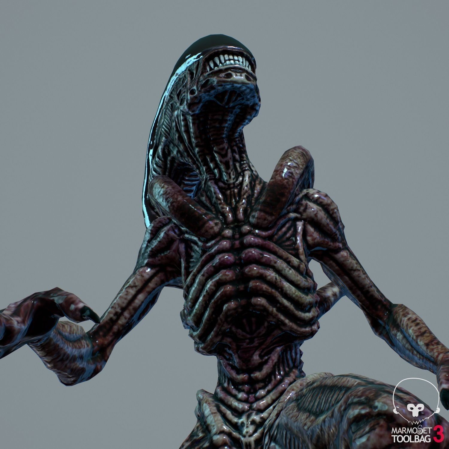 Alien Xenomorph  Low-poly 3D model_10
