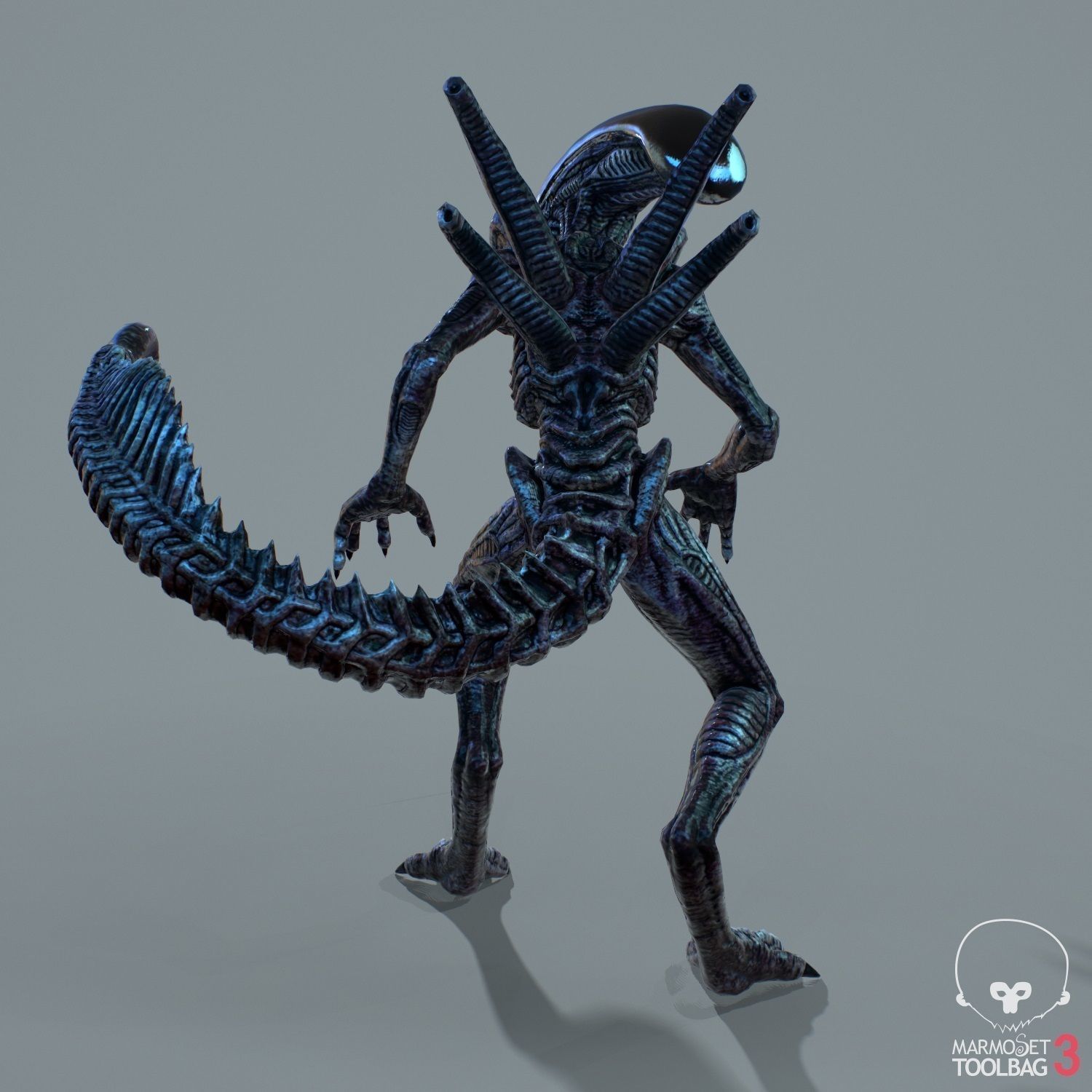 Alien Xenomorph  Low-poly 3D model_6