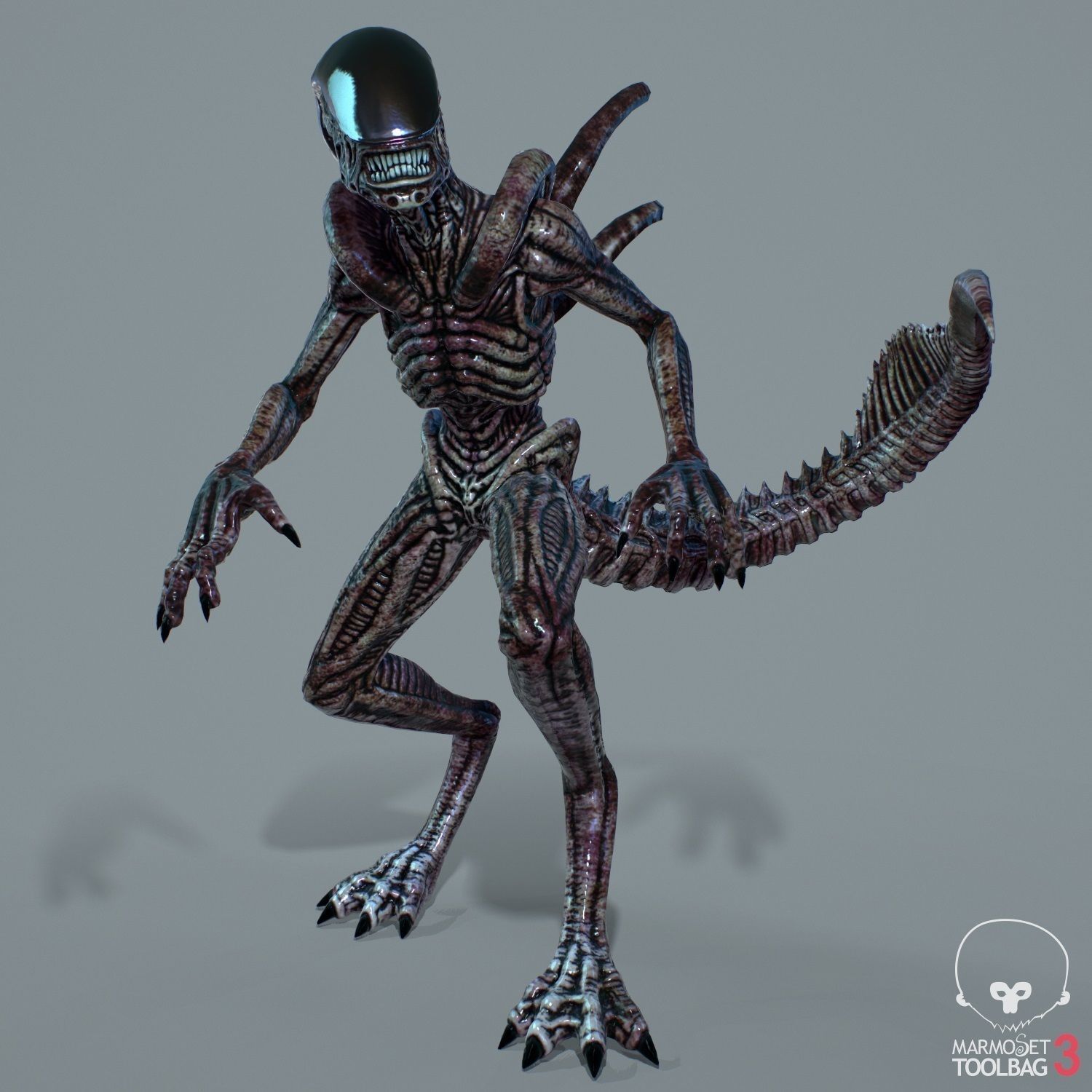 Alien Xenomorph  Low-poly 3D model_3