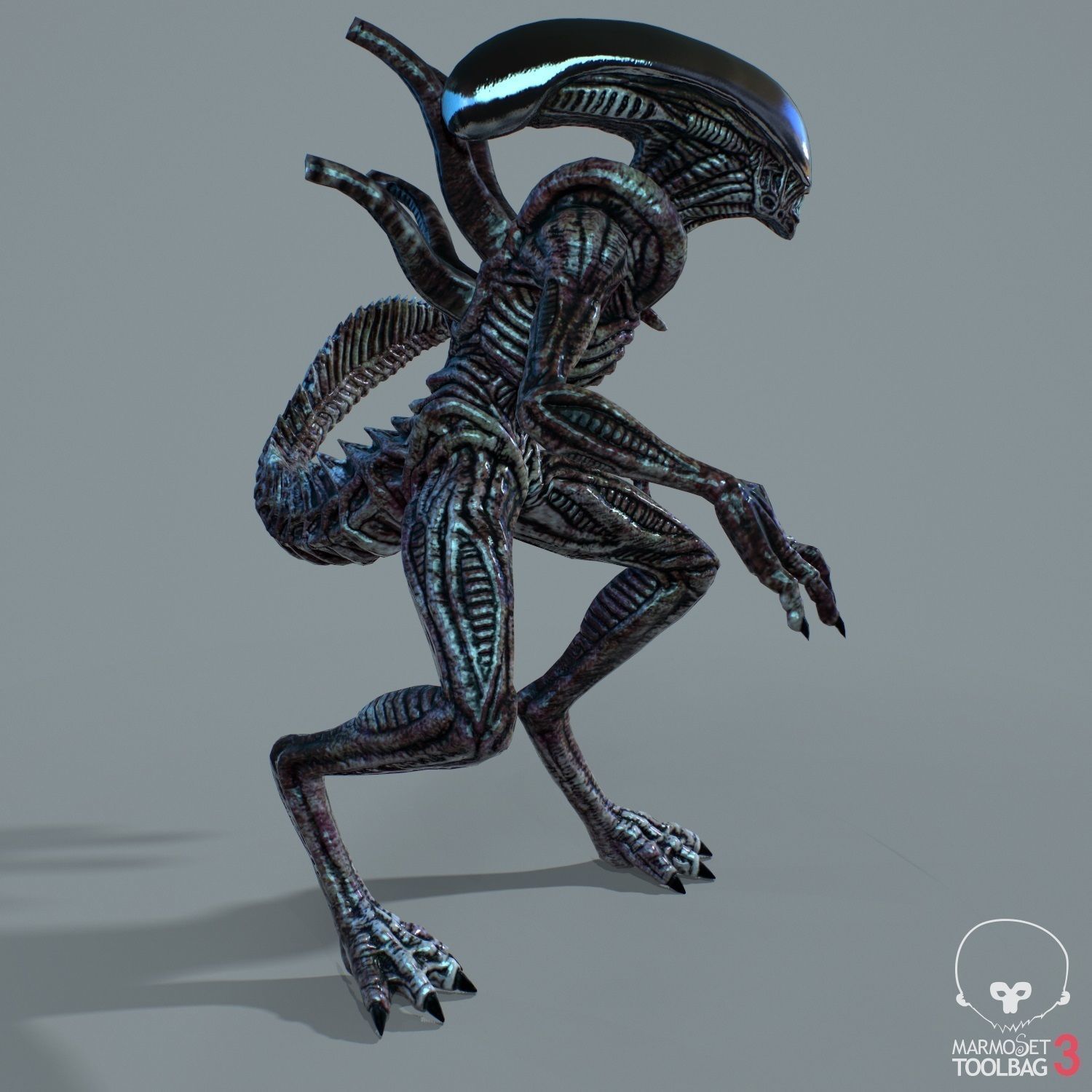 Alien Xenomorph  Low-poly 3D model_4