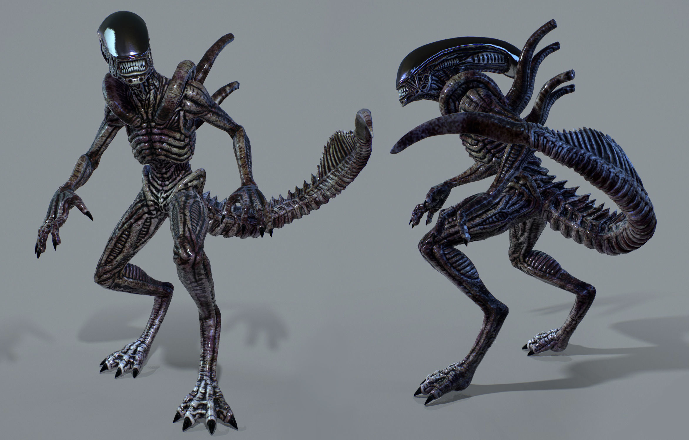 Alien Xenomorph  Low-poly 3D model_2