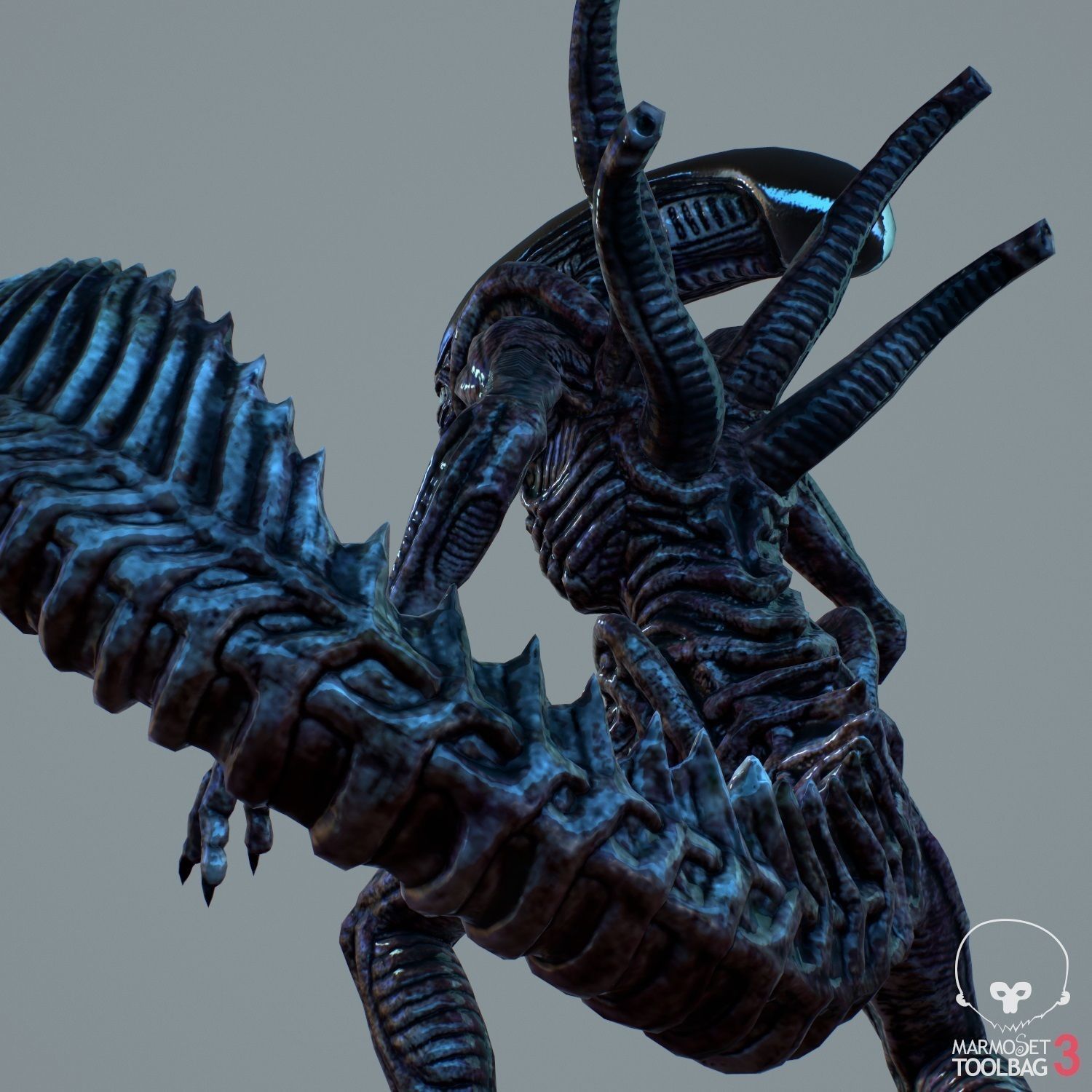 Alien Xenomorph  Low-poly 3D model_8