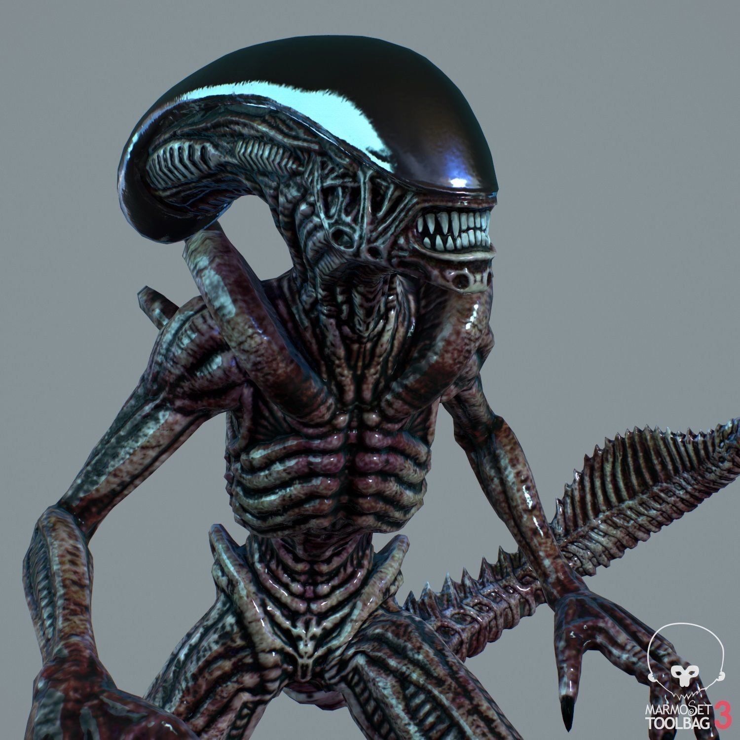 Alien Xenomorph  Low-poly 3D model_7
