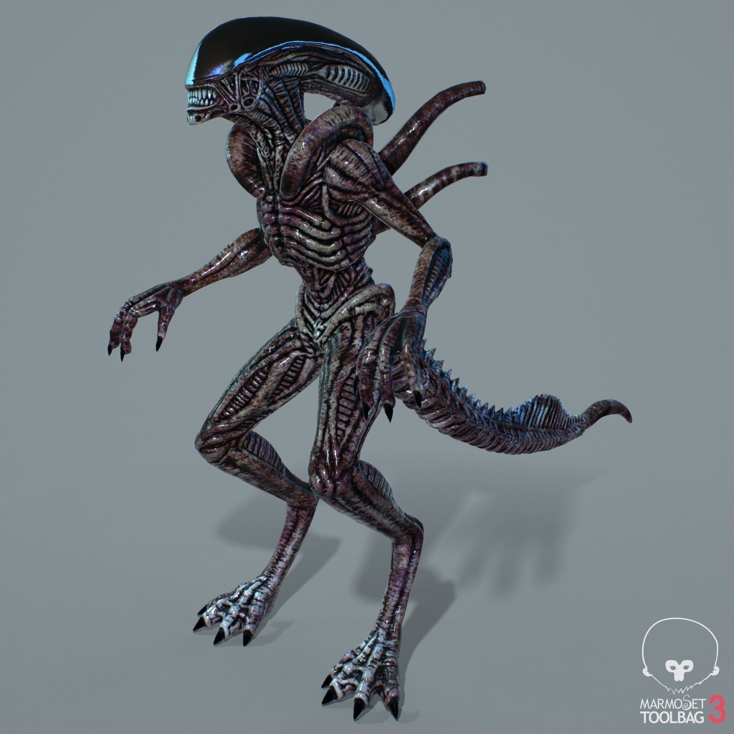 Alien Xenomorph  Low-poly 3D model_13