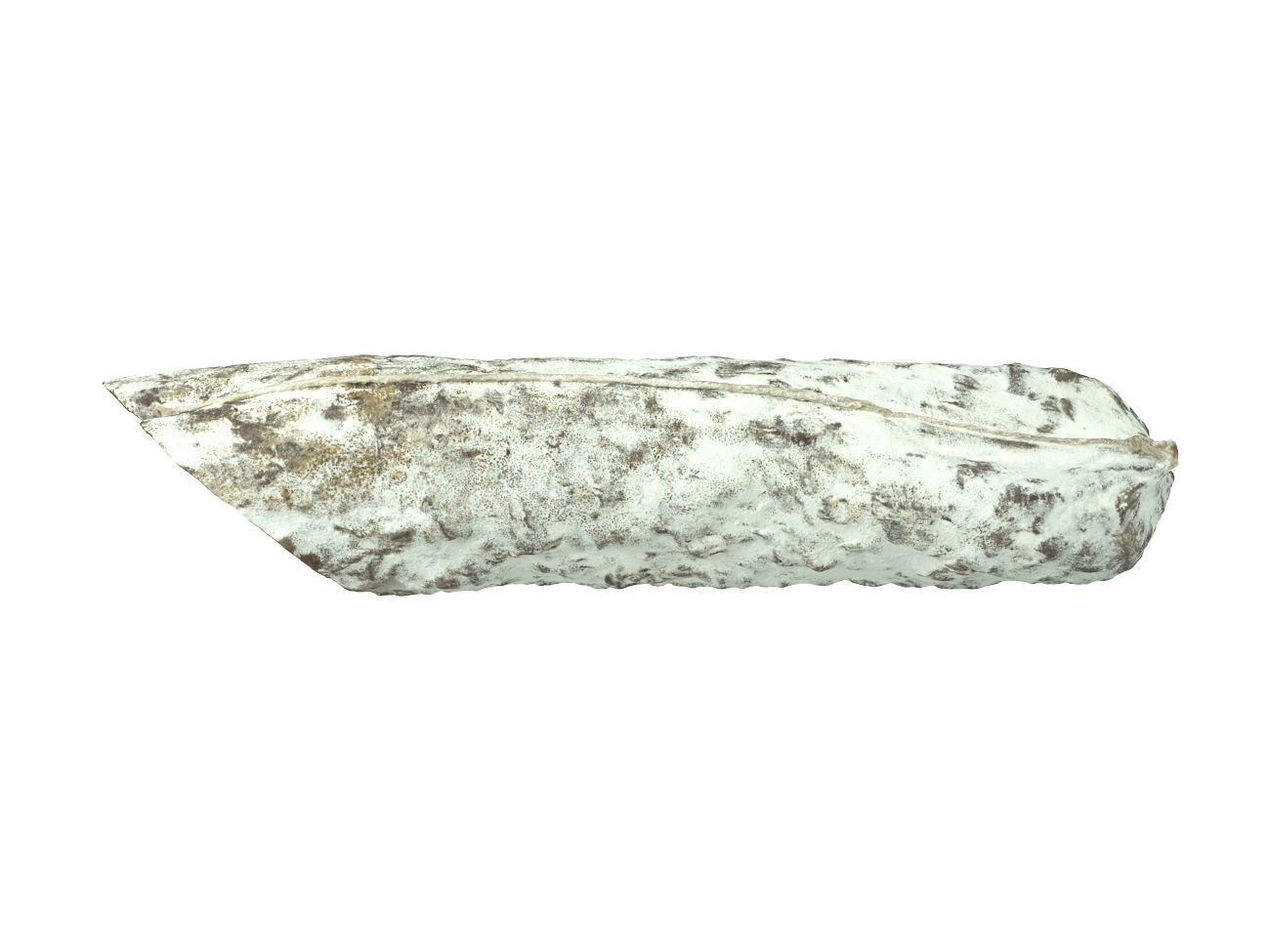 Photorealistic Salami 3D Scan 3D model_2