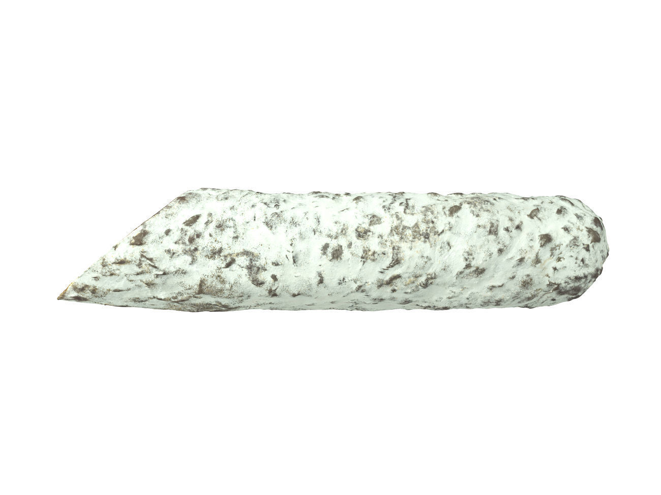 Photorealistic Salami 3D Scan 3D model_4