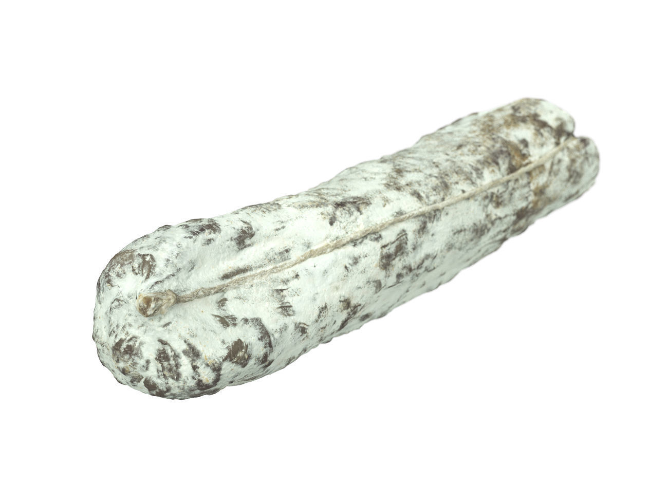 Photorealistic Salami 3D Scan 3D model_5