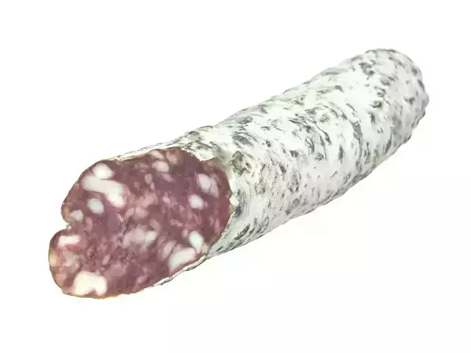 Photorealistic Salami 3D Scan 3D model