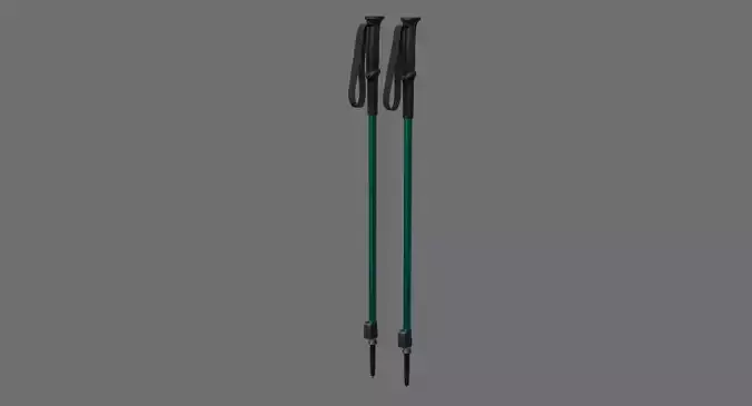 Ski Poles 1A