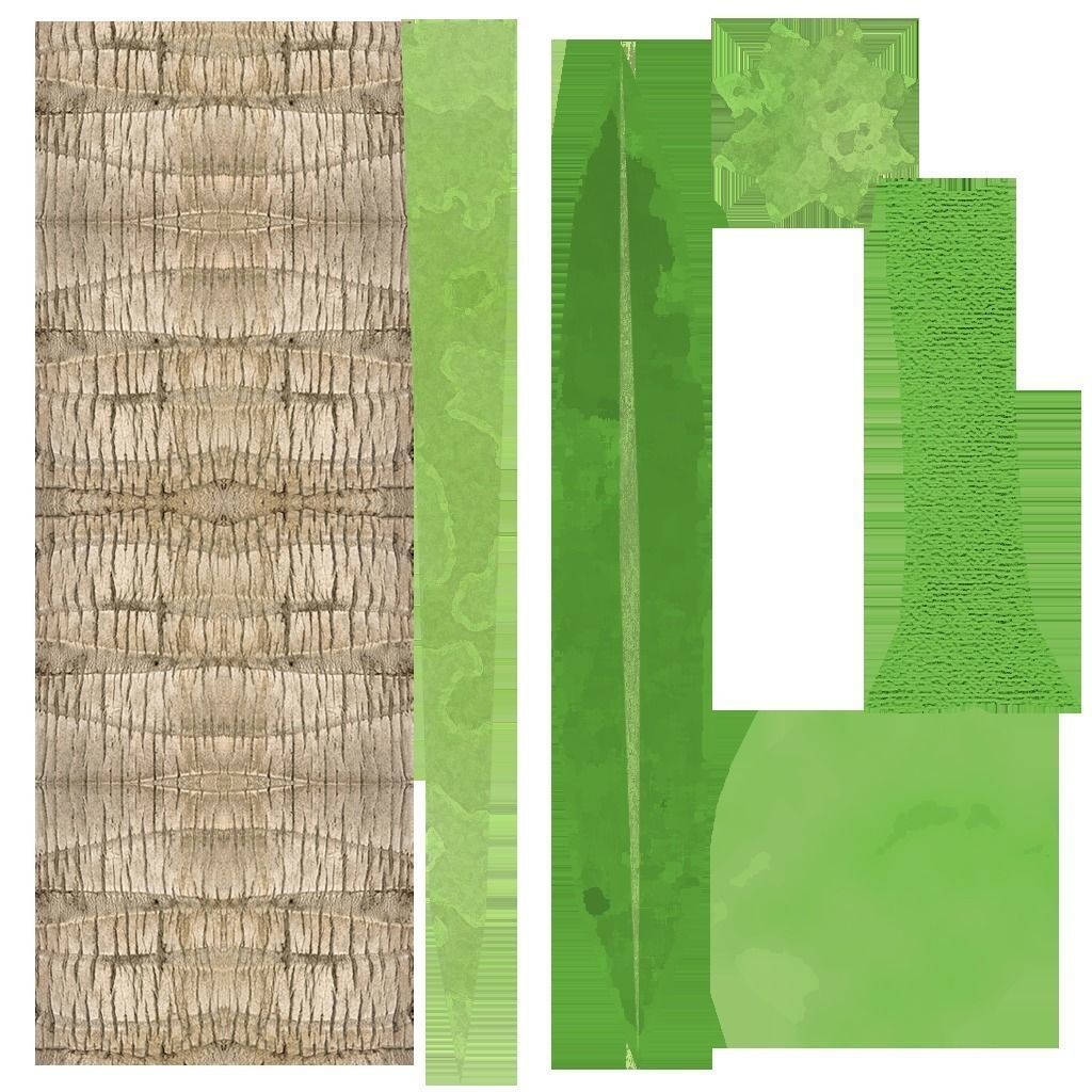 Coconut Tree Low-poly 3D model_2