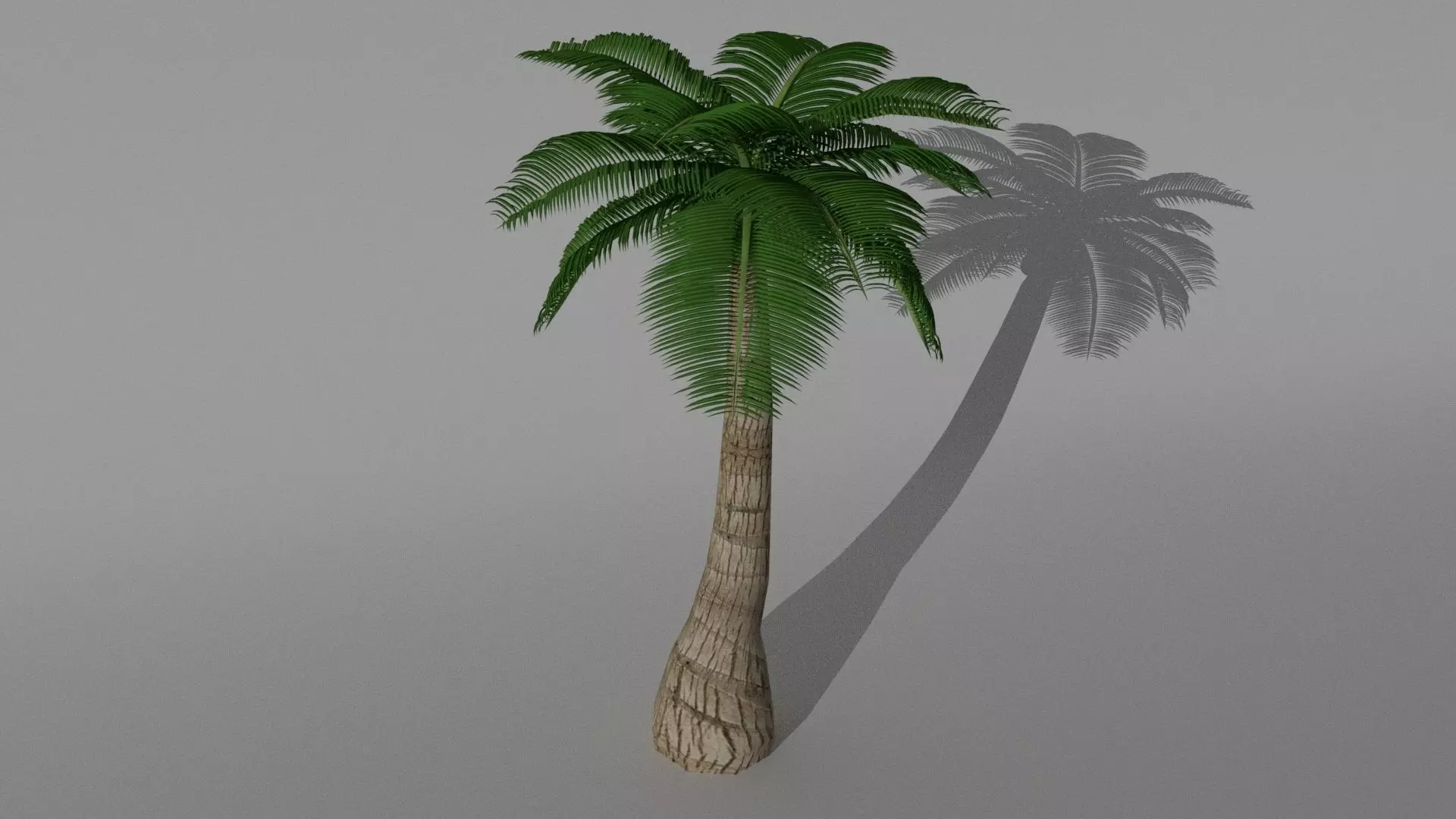 Coconut Tree Low-poly 3D model_0