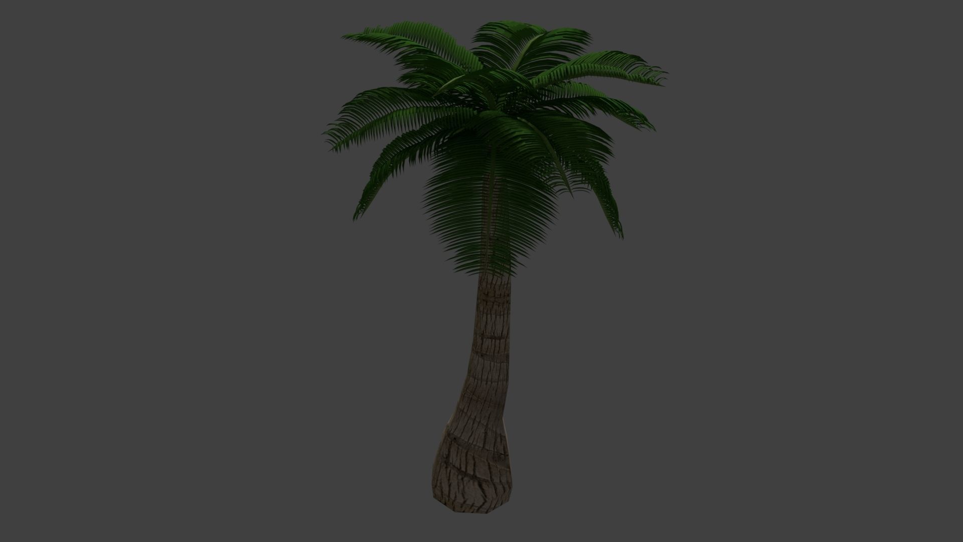 Coconut Tree Low-poly 3D model_1
