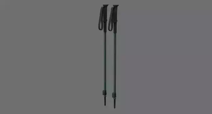 Ski Poles 1B