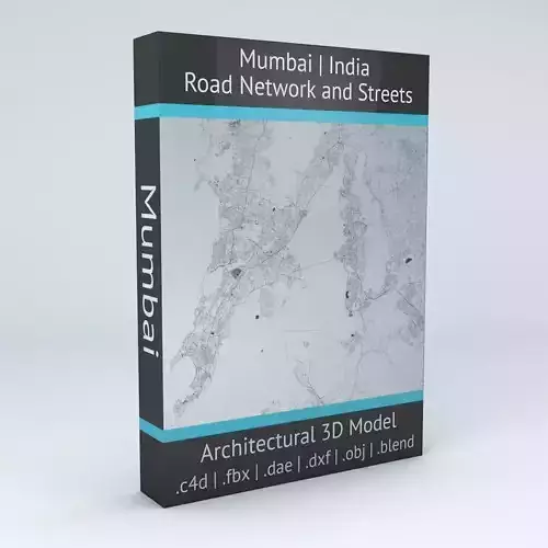 Mumbai Area Road Network and Streets 3D model