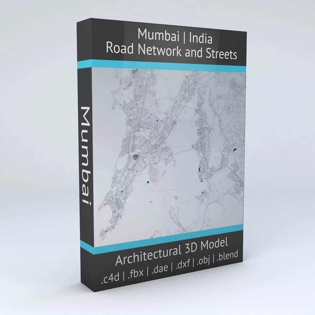 Mumbai Area Road Network and Streets 3D model_0