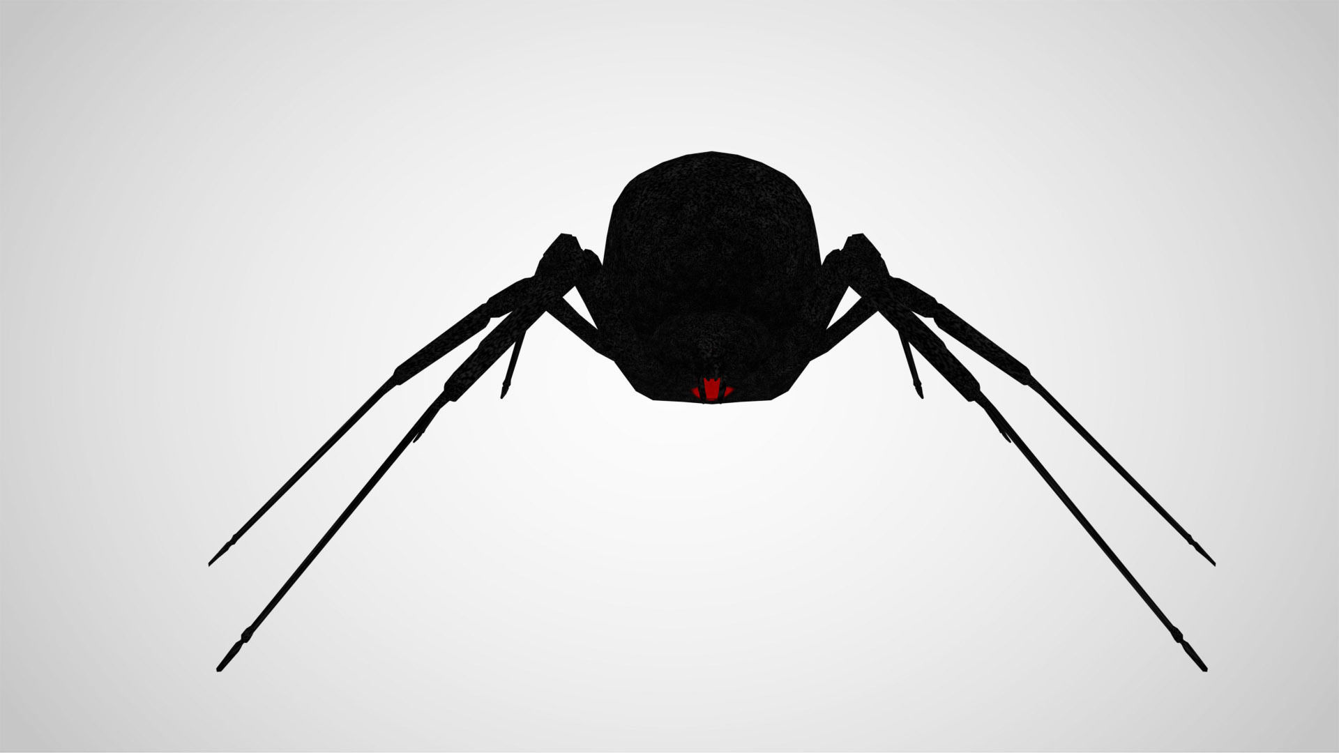 Black Widow Low-poly 3D model_4
