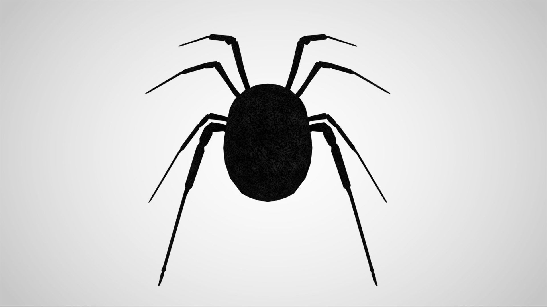 Black Widow Low-poly 3D model_3