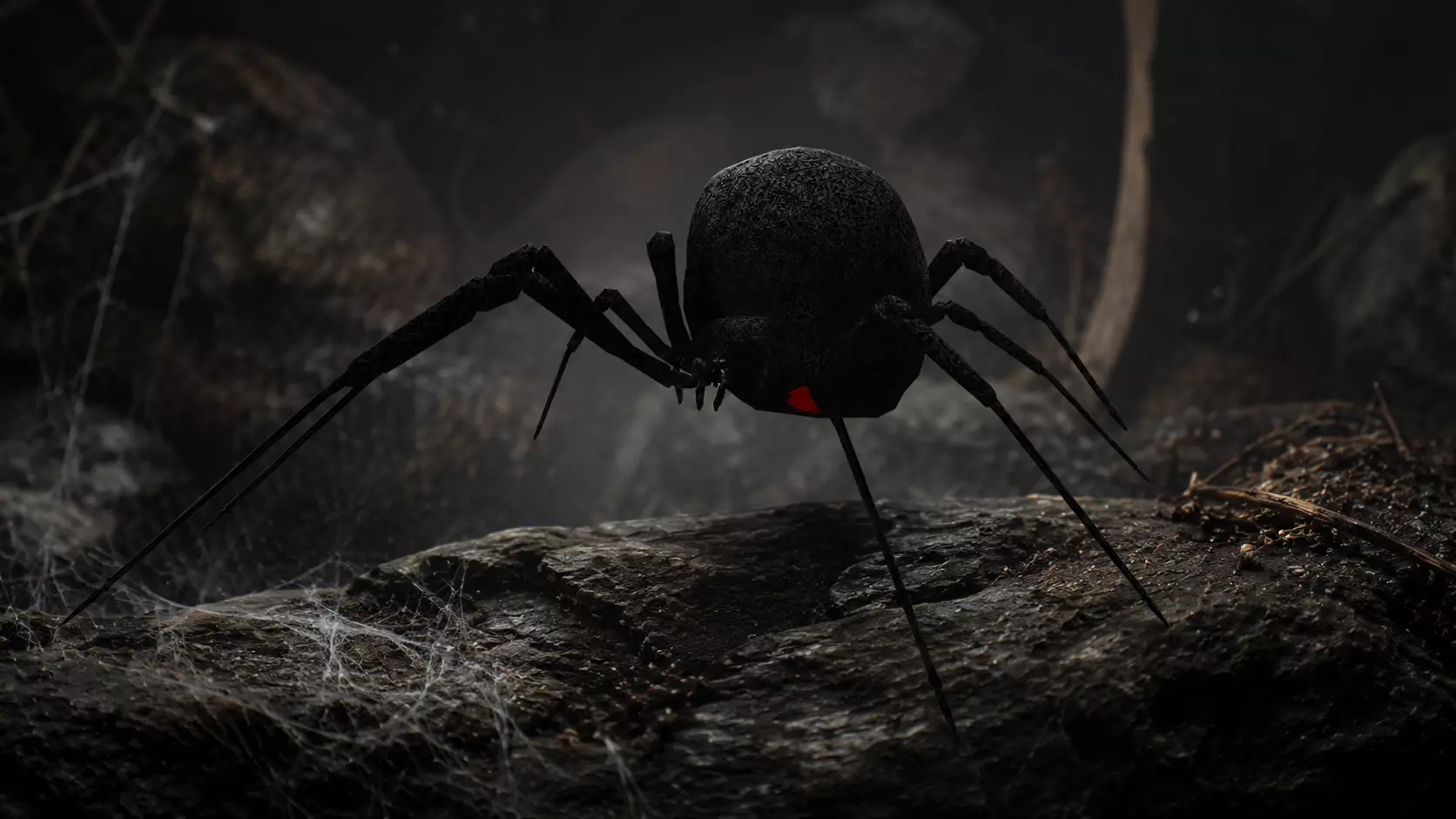 Black Widow Low-poly 3D model