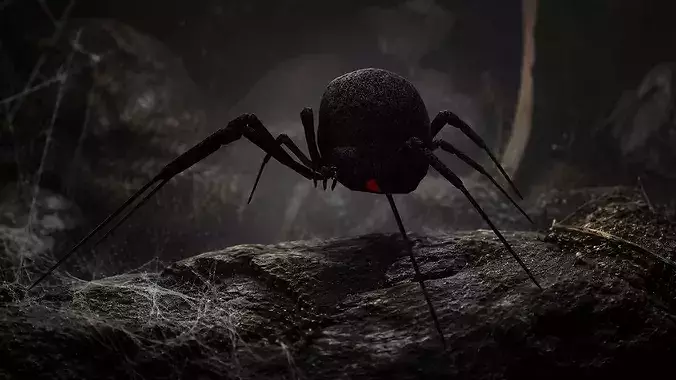 Black Widow