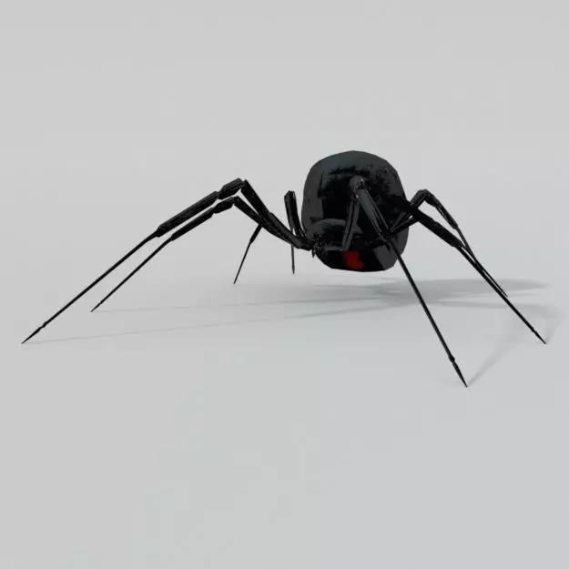 Black Widow Low-poly 3D model_0