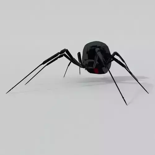 Black Widow Low-poly 3D model
