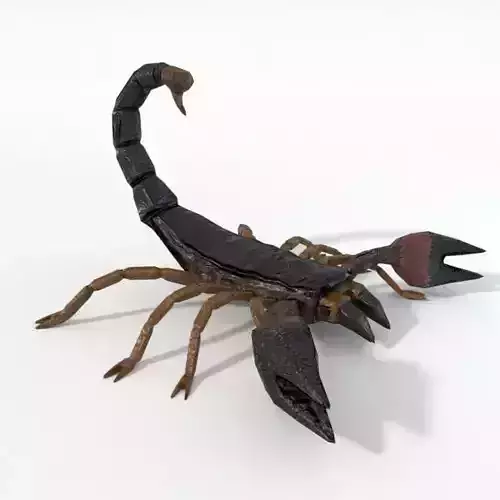 Scorpion Low-poly 3D model