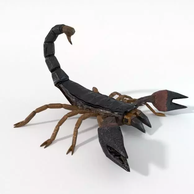 Scorpion Low-poly 3D model_0