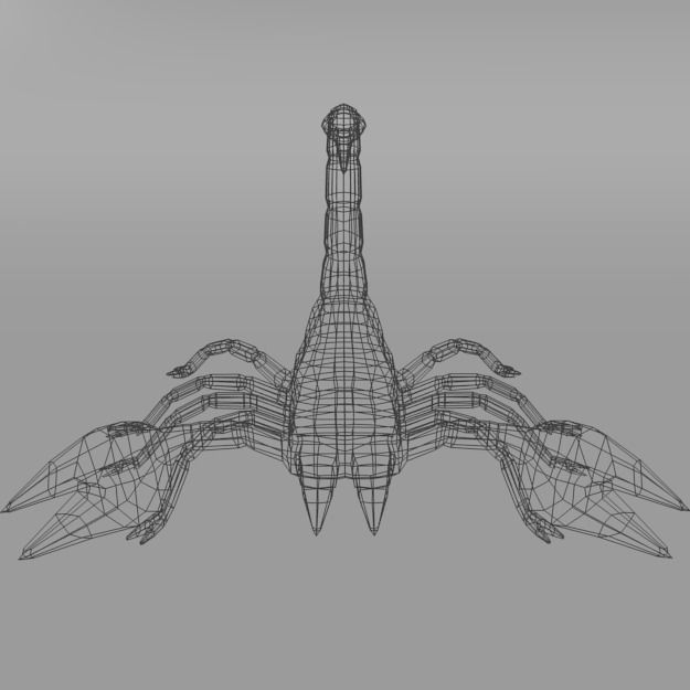 Scorpion Low-poly 3D model_6