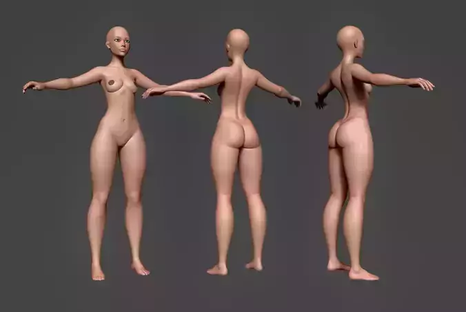 Female Body Basemesh 7