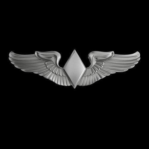Women Airforce Service Pilots Wings Badge 3D model
