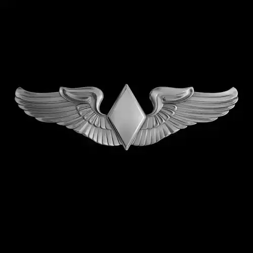 Women Airforce Service Pilots Wings Badge 3D model