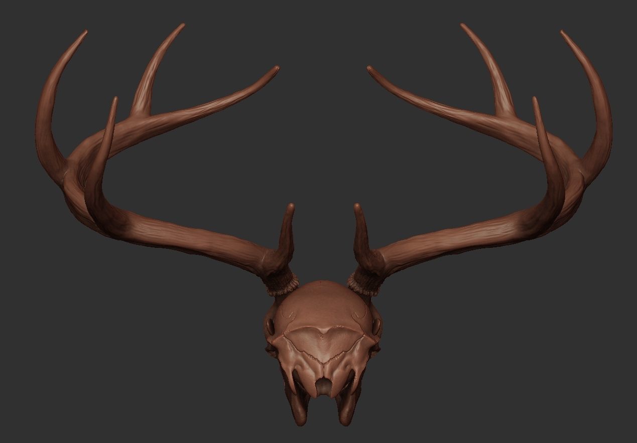 Deer Antler 01 Highpoly 3D model_4