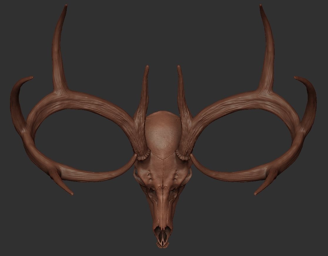 Deer Antler 01 Highpoly 3D model_1