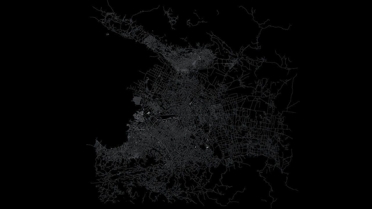 Port au Prince Road Network and Streets 3D model_7