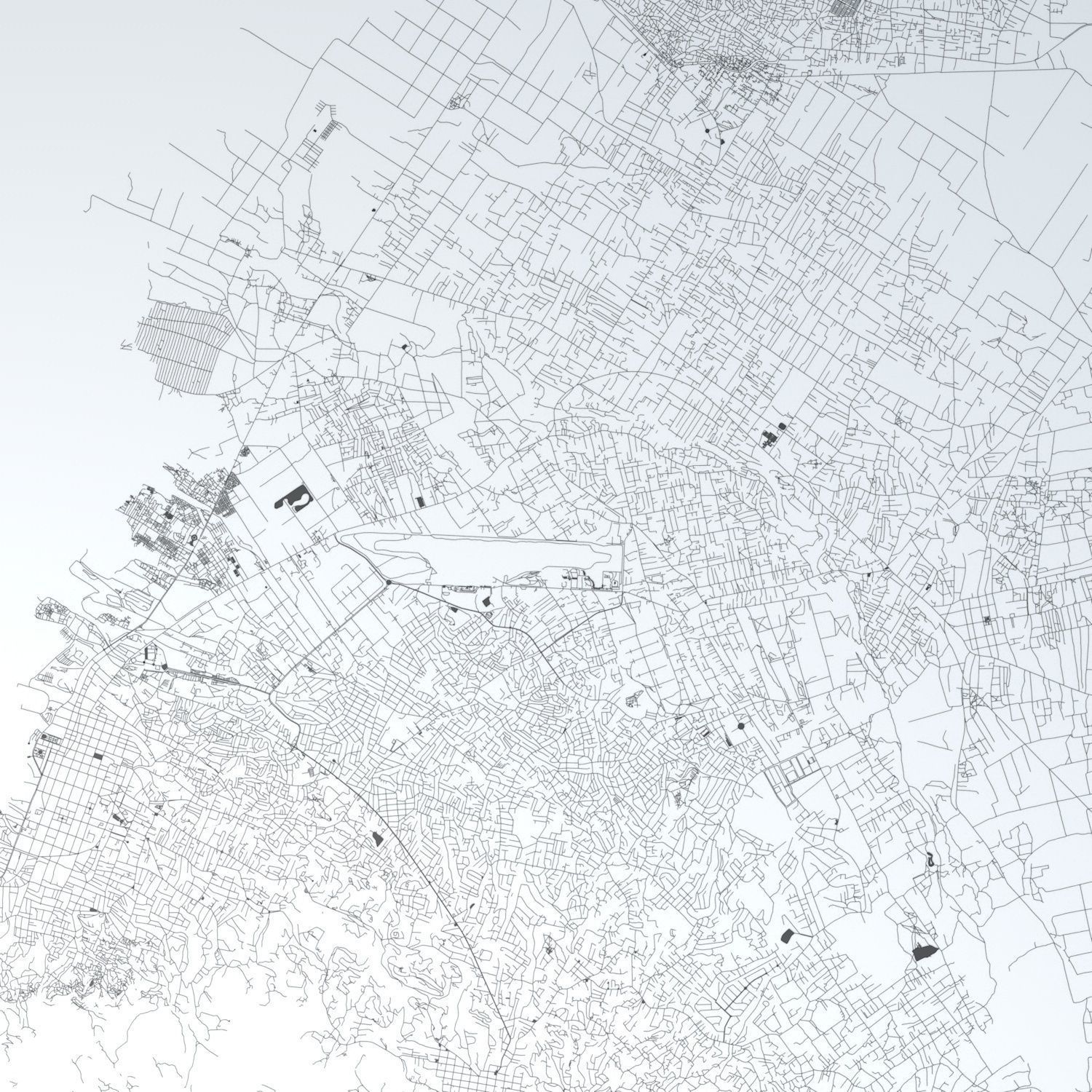 Port au Prince Road Network and Streets 3D model_1