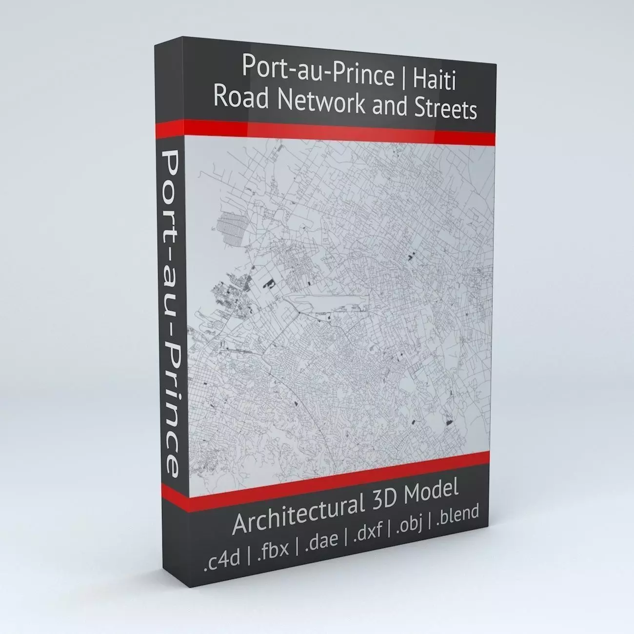 Port au Prince Road Network and Streets 3D model_0