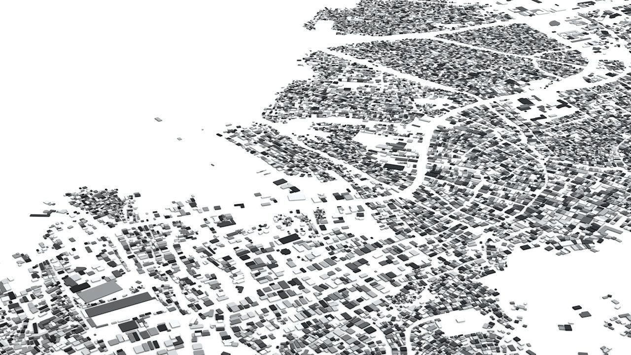 Port au Prince Streets and Buildings 3D model_2