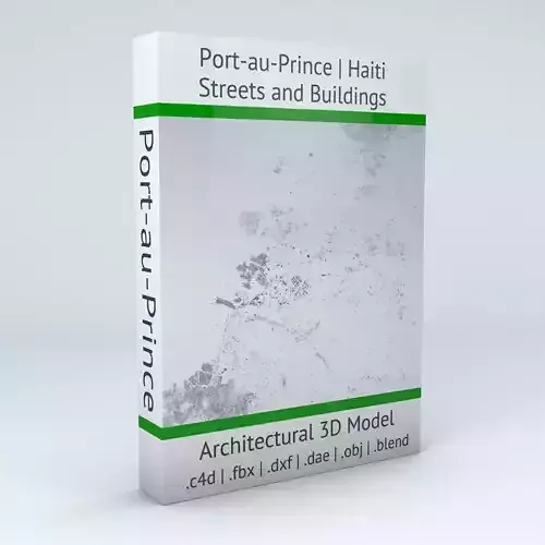 Port au Prince Streets and Buildings 3D model